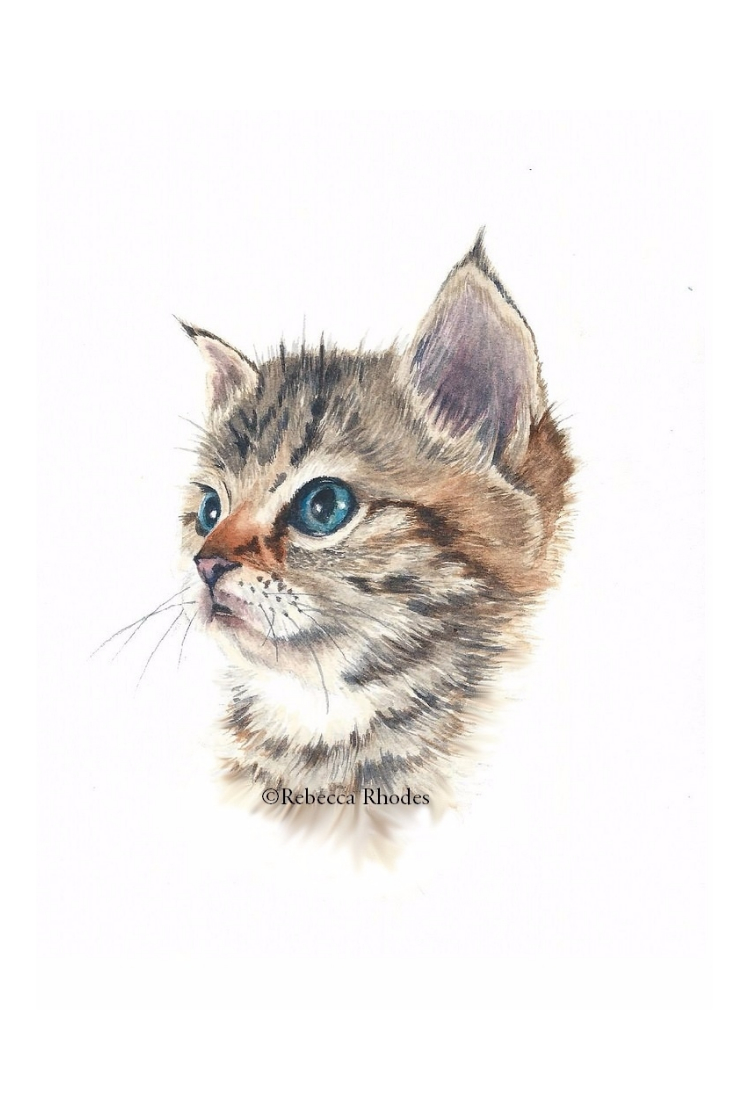 How to Paint a Watercolor Kitten
